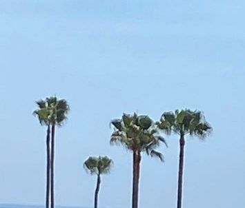 6 bedroom luxury Villa for rent in Puerto Banus, Spain - Photo 1