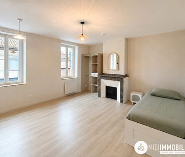 Location Appartement 1 pièce 24m² ALBI 81000 - Photo 2