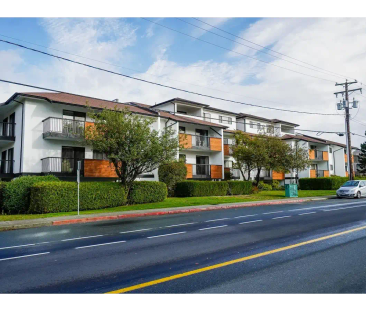 3205 Wetherby Rd — Studio - Photo 1