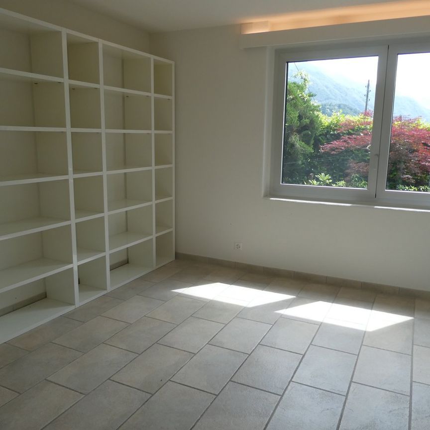 6600, Locarno - Foto 1