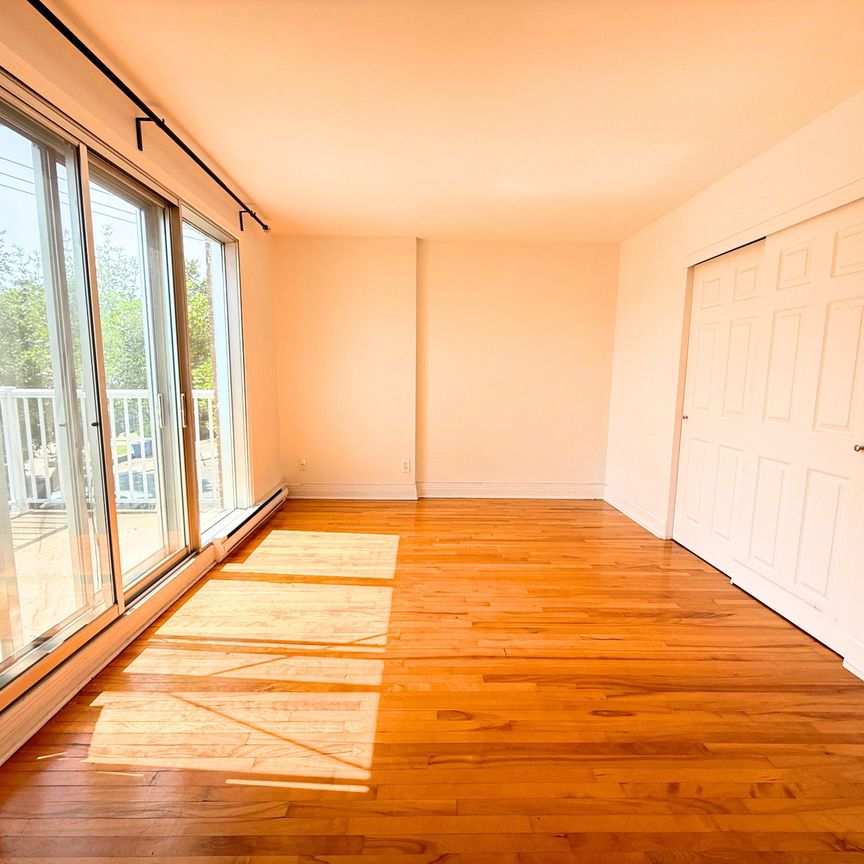 7427 Rue François Perrault, Montréal (Villeray, QC H2A - Photo 1