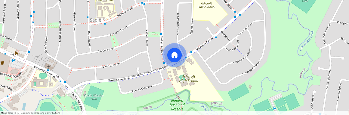 113 Maxwells Avenue, NSW 2168, Ashcroft