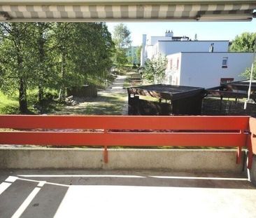 Family friendly. Green. Bim Hasel. - Foto 6