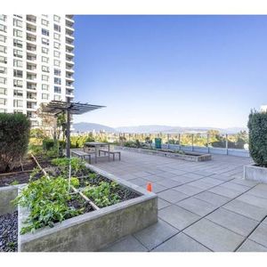 $2,550 / 1br /1den- 30th floor -Like New Elegant – 500ft2 - Joyce-Coll - Photo 2