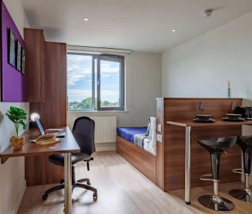 Superior Studio - Photo 6