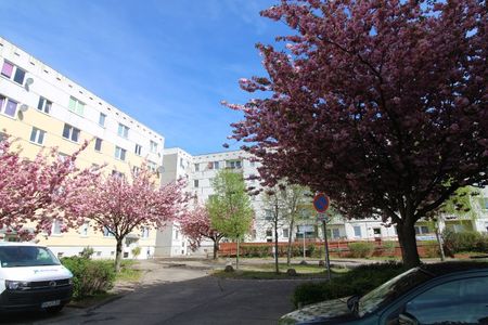 Schlafzimmer mit Erker, Wohnzimmer mit Loggia - Foto 2