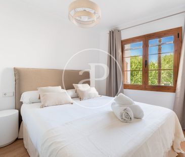 Apartment for rent on the beachfront of Alcúdia - Photo 2