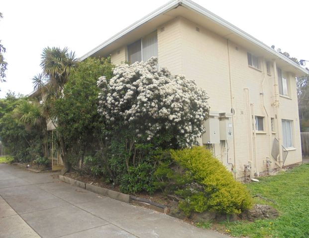 2 Bedroom Apartment - Close to Monash University - Photo 1