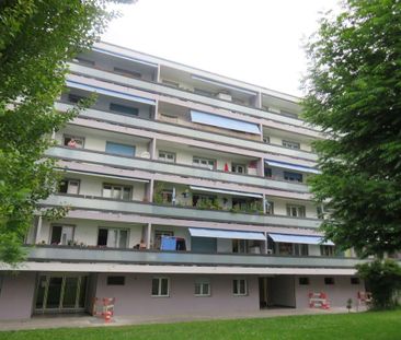 3 Zimmer, 69 m², 2. Stock - Photo 1