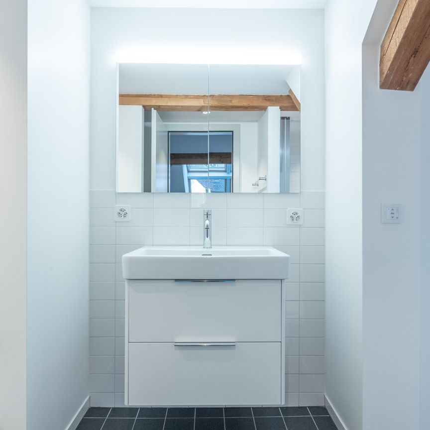 Einmalige Gelegenheit - wunderschöne Loftwohnung beim Zolli - Foto 1