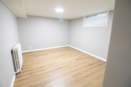 138 Haig St, St. Catharines - 1 Bedroom Lower Unit - Photo 3
