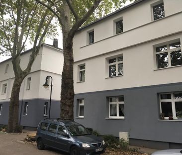 Ein Sahnehäubchen - renoviert und zum sofortigen Einzug. - Foto 5