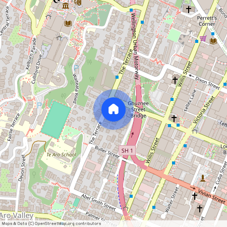 11/313 The Terrace, Wellington, Te Aro