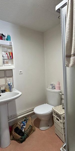 Location Appartement 1 pièce 17m² LIMOGES 87000 - Photo 2