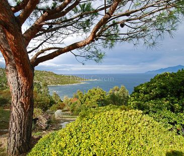 Propriété à louer en Corse - Saint Florent - Photo 5