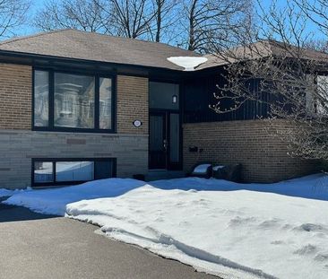 For Lease - 111 Combe Avenue Unit# Lower, Toronto, Ontario - Photo 4