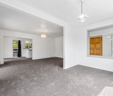 Sunny & Spacious in the Heart of Rangiora - Photo 4