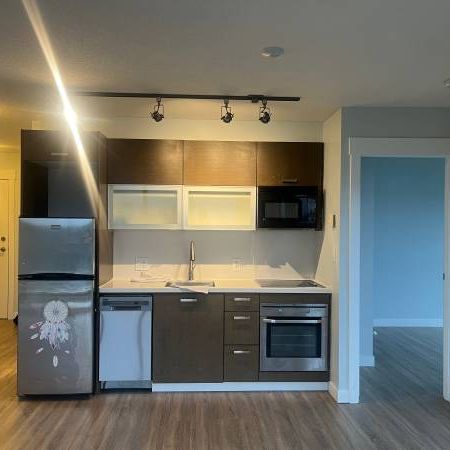 Surrey 2 bd and 2 br Apartment for rent(Gateway Station) - Photo 3