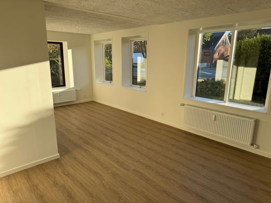 Nyborgvej 4A, stuen, 5550 Langeskov 3-vær. lejlighed - Photo 1