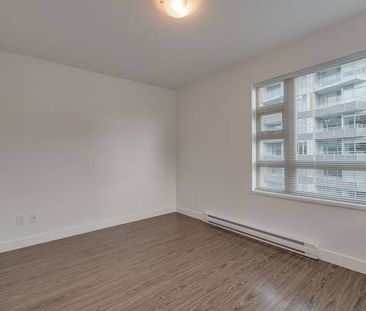 GORGEOUS 1 BDR APT, PET FRIENDLY-RICHMOND - Photo 2