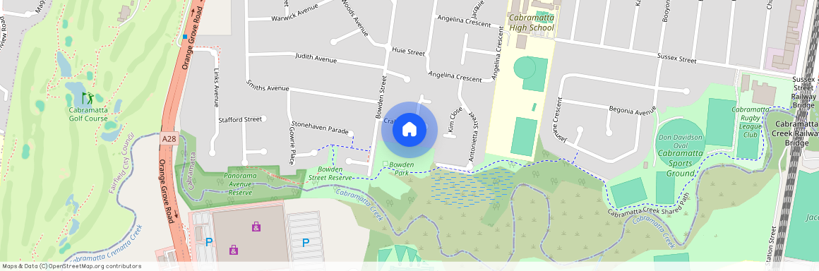 5 CRABB PLACE, NSW 2166, Cabramatta