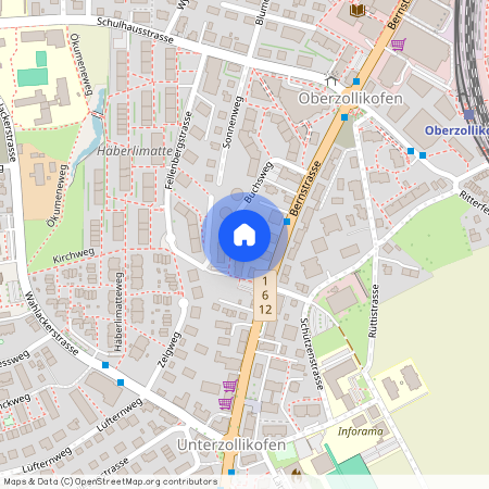 Buchsweg 11, 3052 Zollikofen