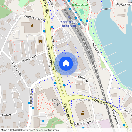 Bangatan 18, Möllevången