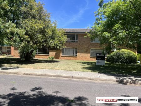 8/43 Gardiner Street, Downer ACT 2602 - Studio For Rent | Domain - Photo 2