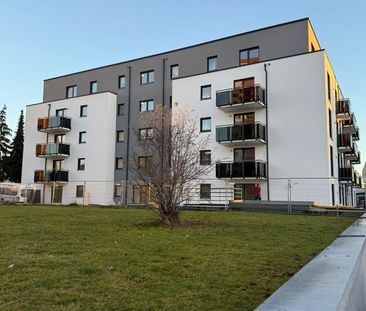 Bester Energiestandard! Moderne 1-Zi-Penthouse mit Küche - Photo 6