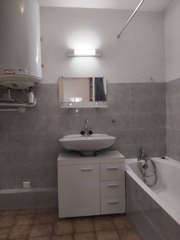 Location Appartement 1 pièce 29m² GRENOBLE 38000 - Photo 5