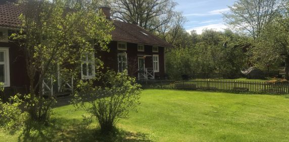 Hammarstigen, Hasselfors - Photo 2