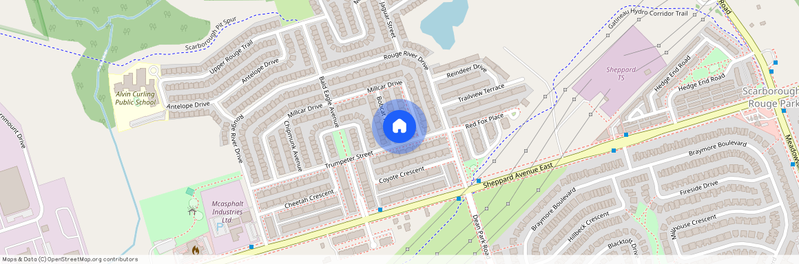 3 Bobcat Terrace Unit# Bsmt, Toronto