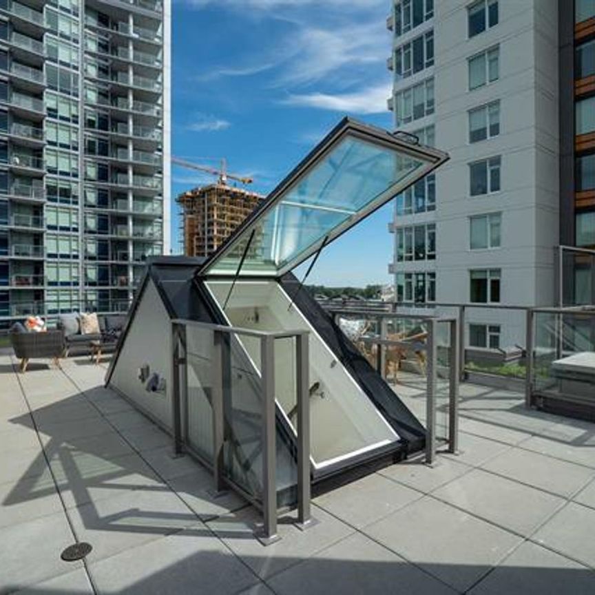 Stunning 2 bed + flex PENTHOUSE with massive rooftop patio! - Photo 1
