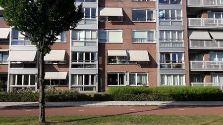Te huur: Appartement Plantageweg 19 in Zwijndrecht - Photo 2