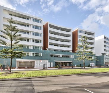 Honeysuckle Precinct on Newcastle Harbour – Live at Lume - Photo 6