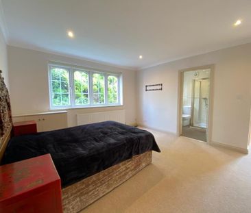 3 bedroom detached bungalow to rent - Photo 5