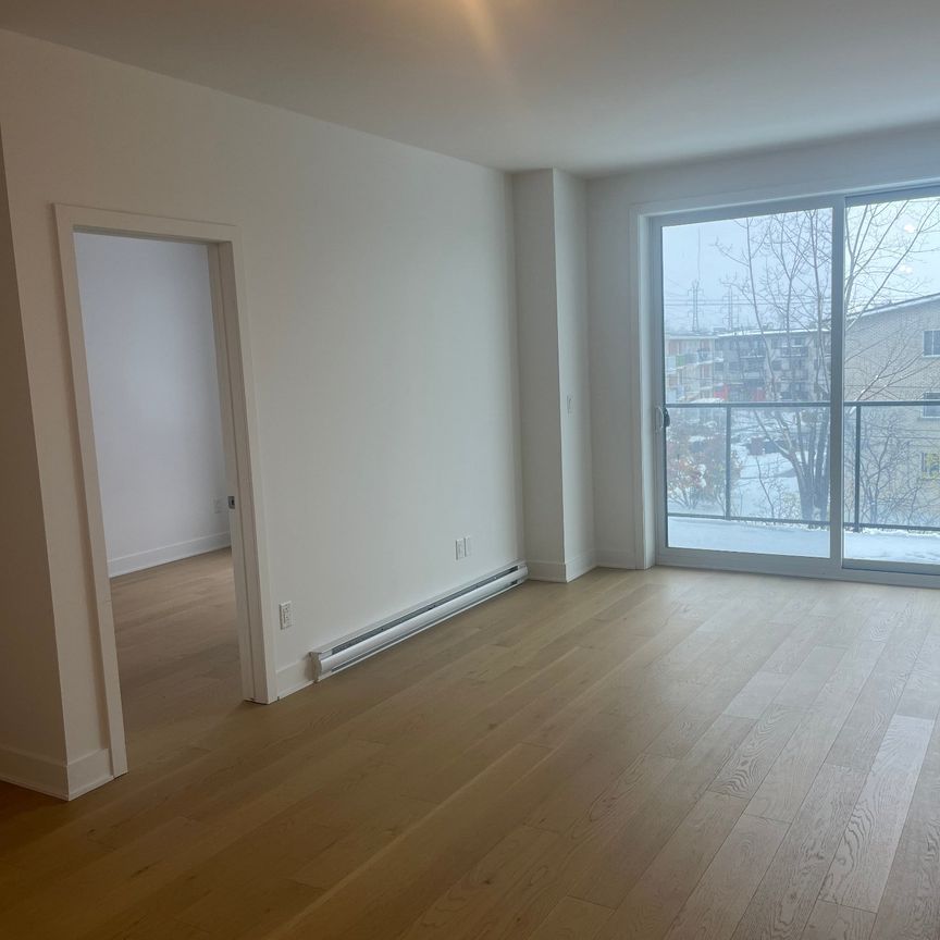 10130 Rue Lauraine Vaillancourt - Photo 1