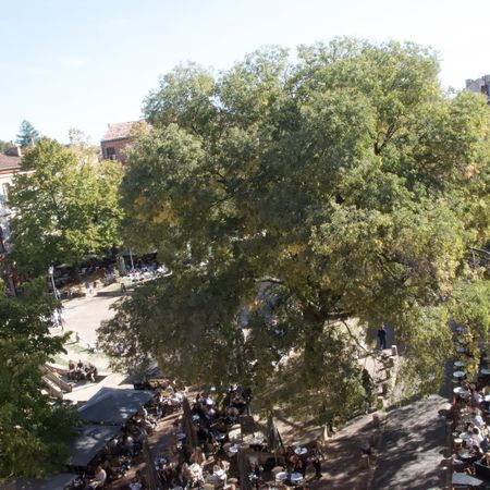 Location Appartement 4 pièces 118m² TOULOUSE 31000 - Photo 4