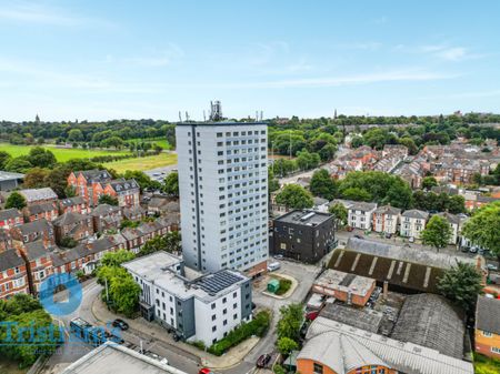 1 bed Apartment for Rent - Photo 3