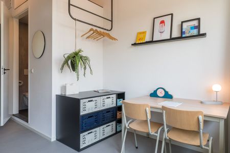 Te huur: Studio Maasboulevard in Maastricht - Photo 4