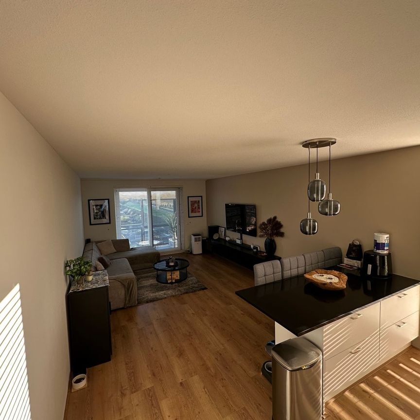 Hof van Gelre 17, Hoofddorp Floriande Oost, 2134AX - Foto 1