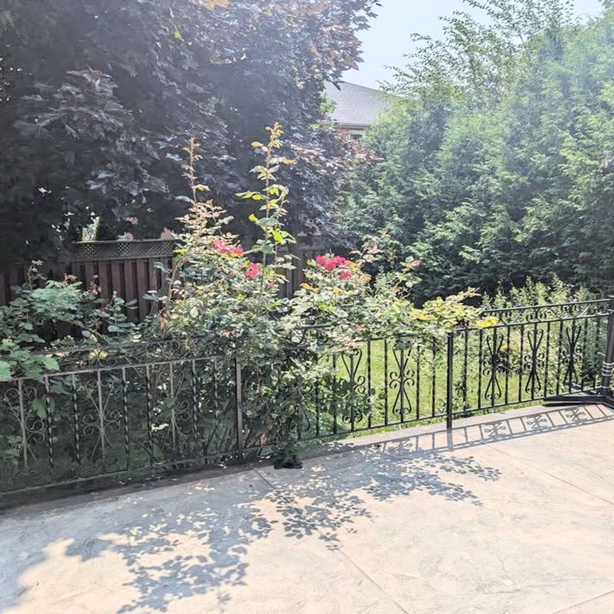 For Lease - 81 Oxford Street, Richmond Hill, Ontario - Photo 1