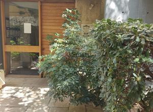 Διαμέρισμα για ενοικίαση - Παλαιό Φάληρο, - Photo 5
