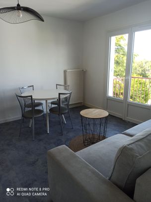 Location Appartement 1 pièce 30m² SAUMUR 49400 - Photo 1