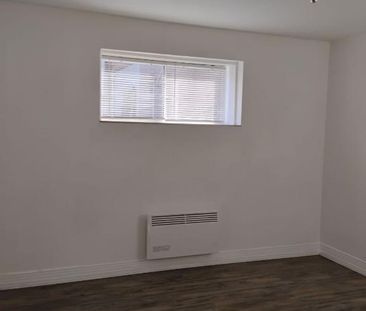 Rosemont – 3½ rénové (demi-sous-sol lumineux), 975$/mois - Photo 3