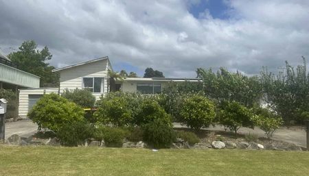 Sunny and inviting! - Photo 5