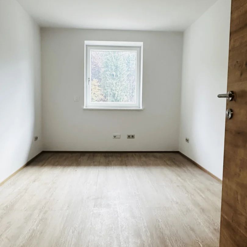 Top-sanierte 4-Zimmer-Wohnung mit Südterrasse am nördlichen Stadtrand von Salzburg - Photo 1