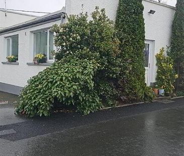 56 Ardigon Road, Killyleagh - Photo 4