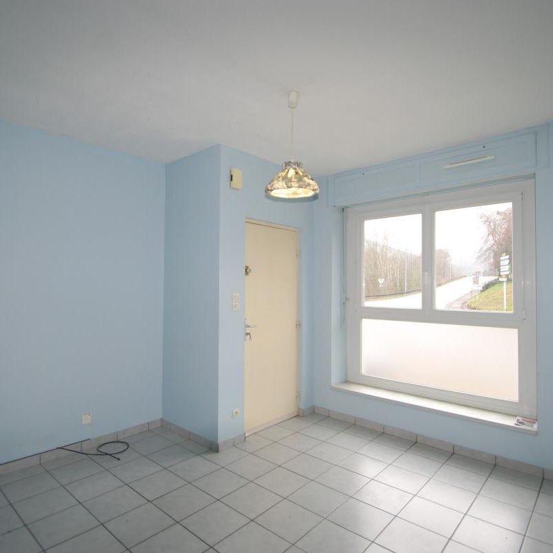 Location Appartement 1 pièce 27m² LA BROQUE 67130 - Photo 1