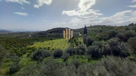 Διαμέρισμα για ενοικίαση Κέντρο (Ασίνη) - Φωτογραφία 3